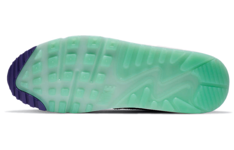 Air Max 90 QS Purple Cheetah CZ5588-001