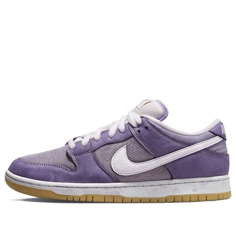 Nike SB Skateboard Dunk Low ached Pack DA9658-500