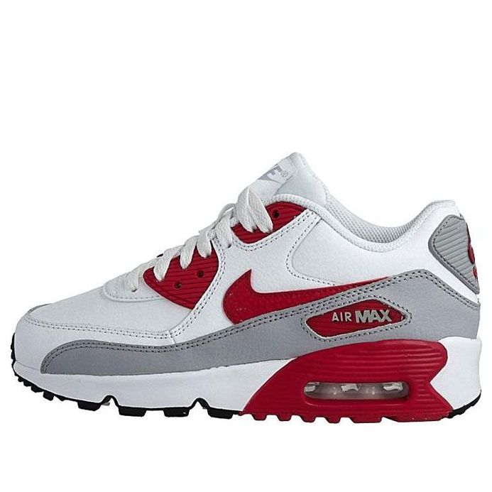 Air Max 90 LTR (GS) 833412-106