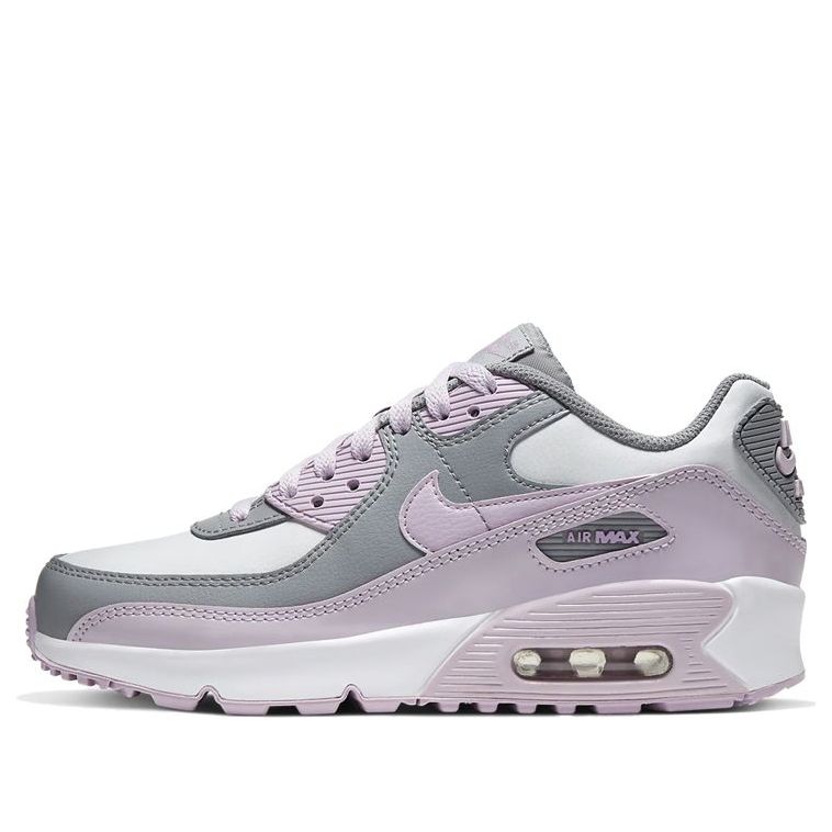 Nike Air Max 90 Leather GS Iced Lilac CD6864-002