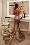 Sparkle Gold V-Neck Open Back Long Prom Dress Mermaid Sequined Evening Dress PDA413 | ballgownbridal