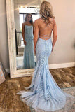 Mermaid Blue Tulle Long Prom Evening Dresses with Appliques Backless PDA229 | ballgownbridal