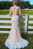 Mermaid Jewel Sweep Train Open Back Champagne Tulle Prom Dress with Applqiues  AHC667 | ballgownbridal