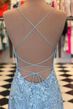 Blue Lace Applique Mermaid Sexy Cheap Long Prom Dress