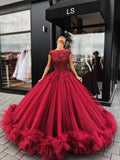 Red Tulle Appliques Ball Gown Prom Dress, Sweet 16 Dresses,Quinceanera Dresses