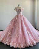 Pink Ball Gown Lace Appliques Tulle Long Prom Dress BY2264